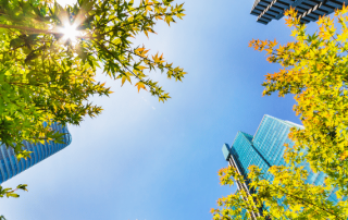 Structural Engineers and Embodied Carbon
